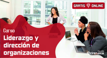 Liderazgo, organización del trabajo en equipo y solución de problemas